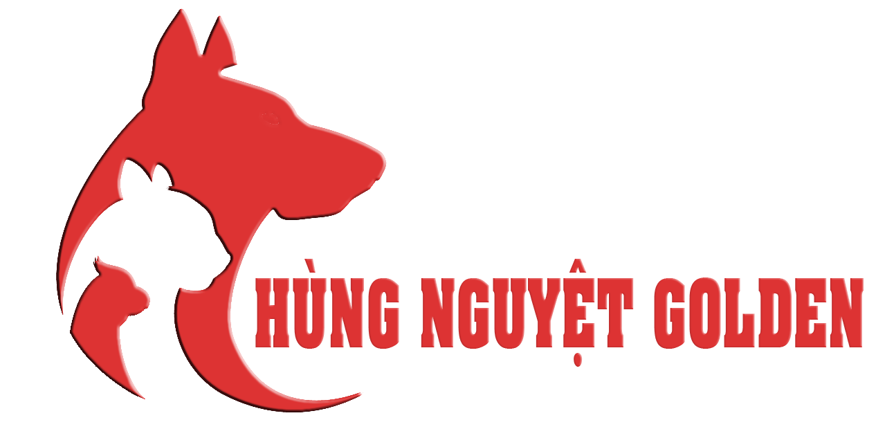 Hùng Nguyệt Golden – Mẫu Website Demo
